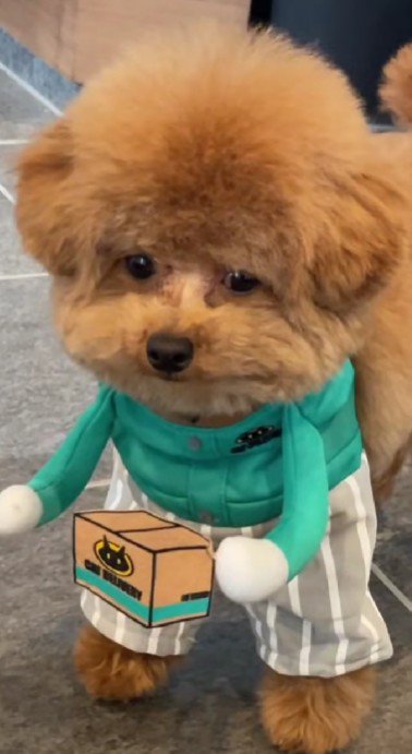 普段は可愛いけど…