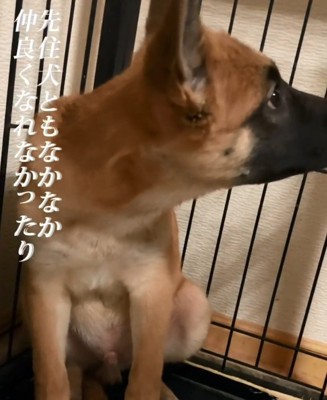 横を向くビギーくん