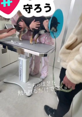 大人しくしている様子…