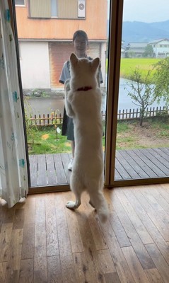 お姉ちゃんを引き止めたいまる君3