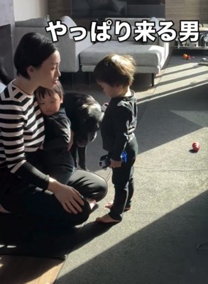 人の間に近づく犬