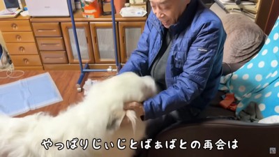 再会できてよかったね♪