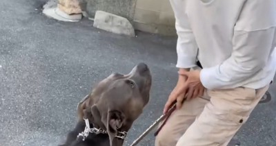 まるで会話をしているかのよう