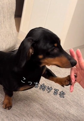 嫌がるオーレくん