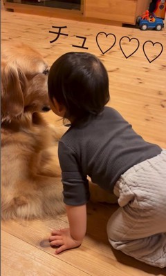 レアくんと赤ちゃんの寝る前の日課8