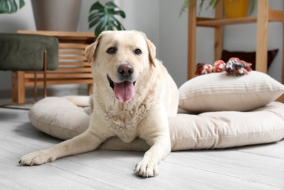 お気に入りの場所