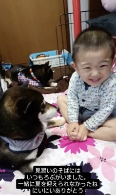 ろぶくん、だいすき