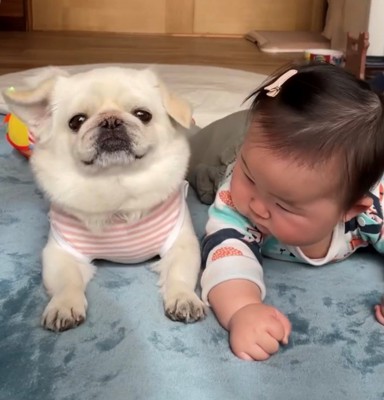 カメラ目線を決める犬と、犬の方を向く赤ちゃん