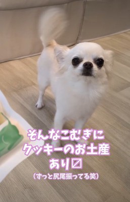 「おみやげもあるの!?」
