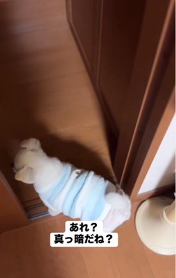 「部屋が真っ暗だね」