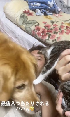 じゃれあう朝潮ちゃんとココちゃん