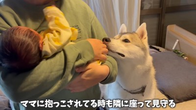 いつでも寄り添ういちみちゃん