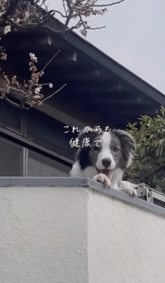 気持ちは通じてる