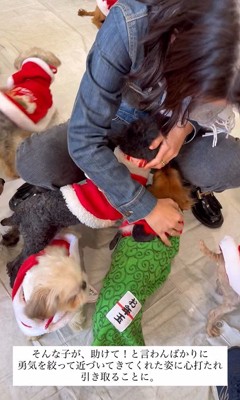 ラホちゃんとの出会いと現在4