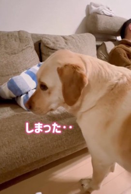 がっくりするダッフィーちゃん