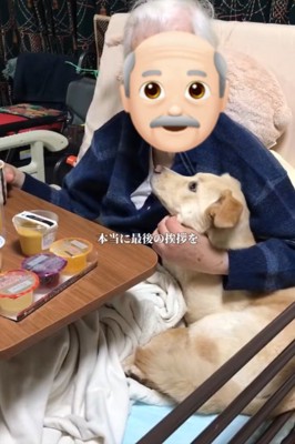 寄り添う犬