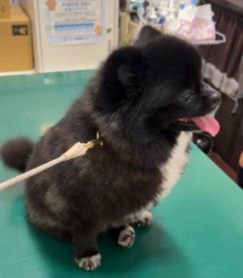 「今日は何をするのかな?」