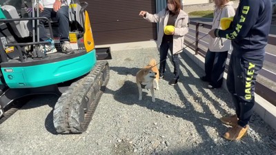 「早く乗らせて！！」