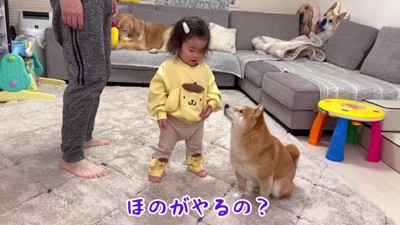 「ほのがやってあげる」