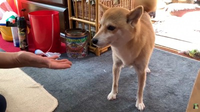 ママさんと再会したら…