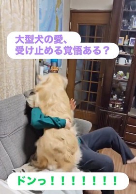 体当たりするブランくん