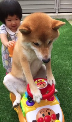 ももこちゃんと乗車