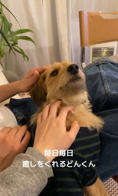 お迎え後のどん君の変化⑩