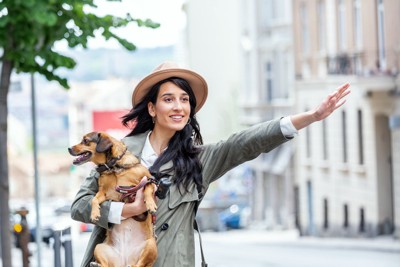 犬を抱っこしてタクシーを停めようとしている女性