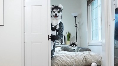 すれ違っちゃった!!