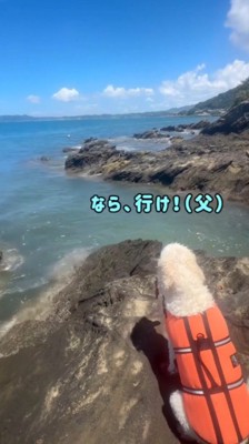 女性を見つめる犬に声をかける男性