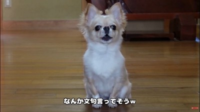 文句を言いながら健気に待つ姿にキュン♡