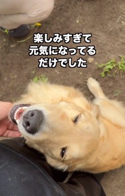 笑顔のちあちゃん