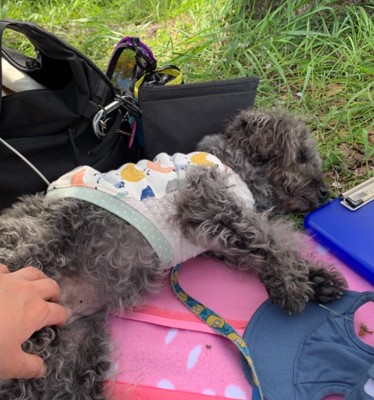 寝ているエマちゃん2