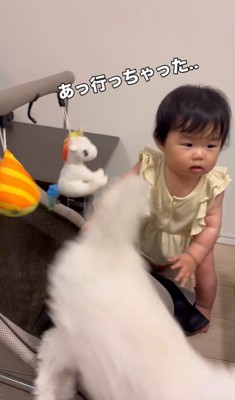 あさりちゃんと赤ちゃん9