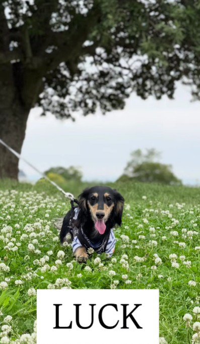幸せそうな顔に涙…