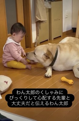 本当に会話してるみたい
