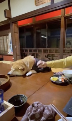 おしゃべりに付き合ってたら