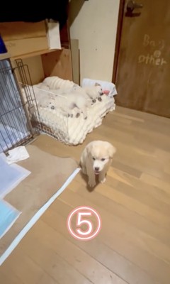 カウントダウンスタート