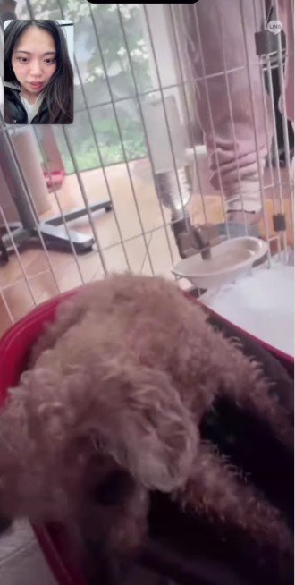 一生懸命に立ち上がった