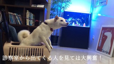 人が出てくるたびに大興奮！