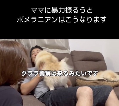 「暴力はゆるさないっ」