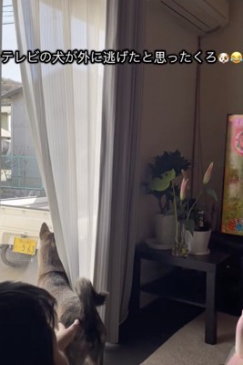 じっくり探します