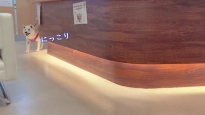 ニッコリ笑顔で登場！！