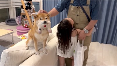 男性に頭を撫でてもらう犬