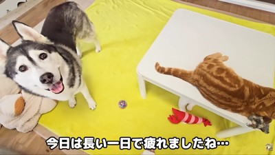 そばにいて看病する気満々!