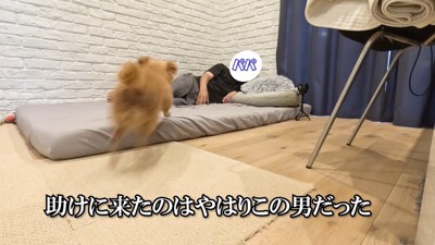 「今度は僕がパパを守る!」