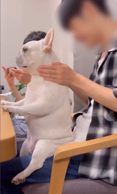 マッサージ中のはなちゃん2