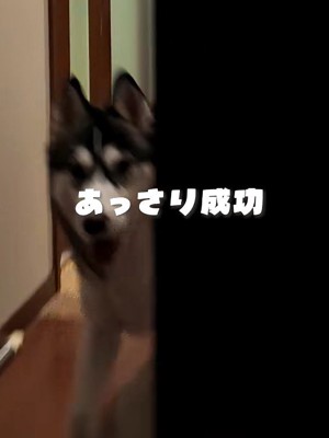 すぐに見つけられた！
