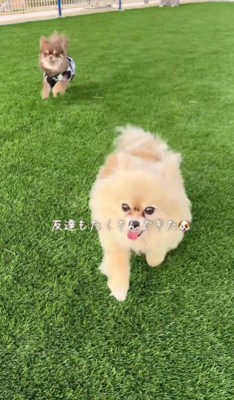 友達もできた♡