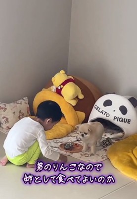 悩むうにちゃん